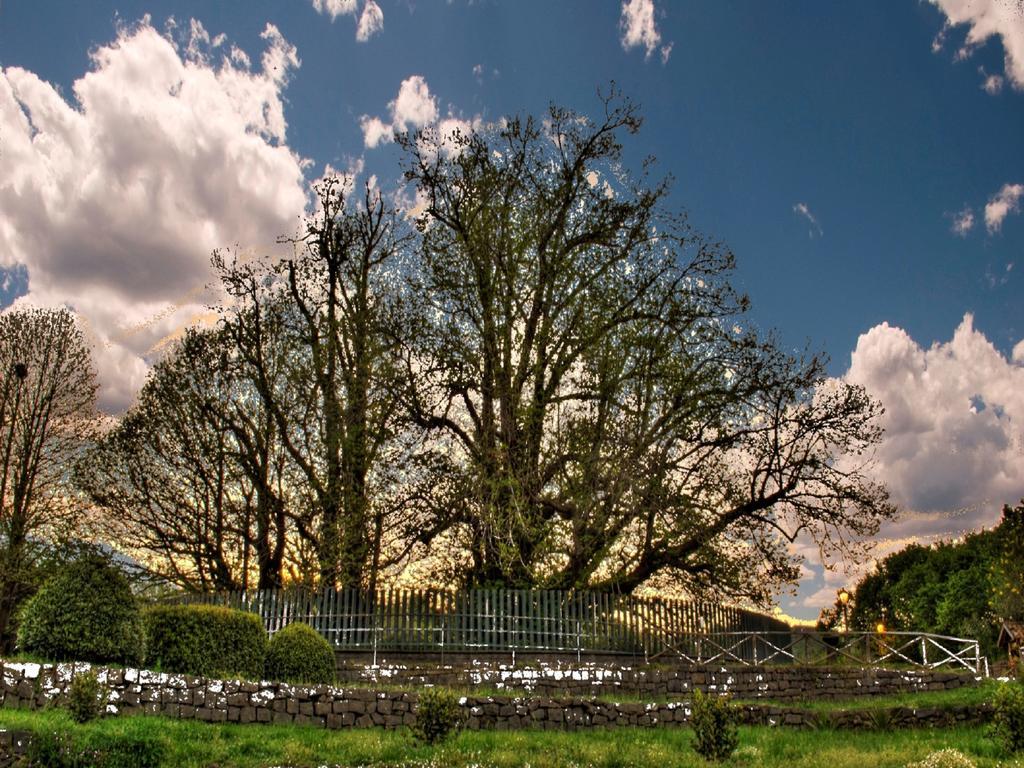 Etna Dimora Dei Saponari Villa เตรคาสตาญิ ภายนอก รูปภาพ